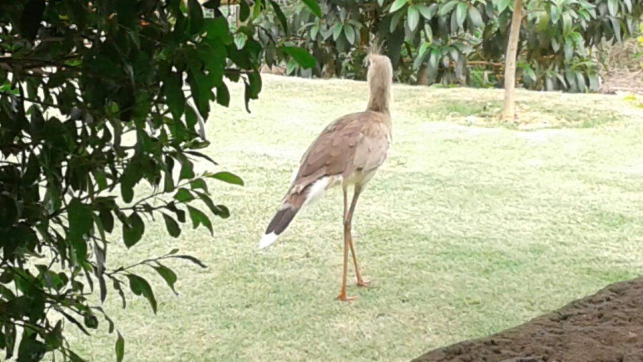 Pousada Chacara Familia H Caratinga Dış mekan fotoğraf